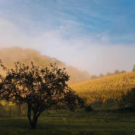 Luxury Vineyard Chateau Ramsak Campismo de Luxo