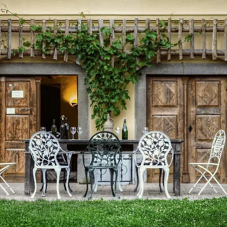 Luxury Vineyard Chateau Ramsak