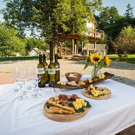 Luxury Vineyard Chateau Ramsak *