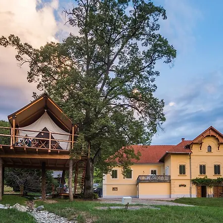 Luxury Vineyard Chateau Ramsak *