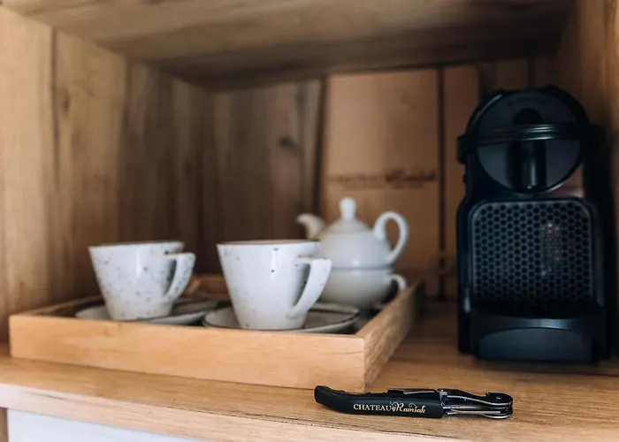 Luxury Vineyard Chateau Ramsak *