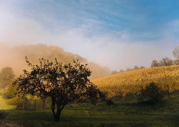 Luxury Vineyard Chateau Ramsak Luksusowy namiot