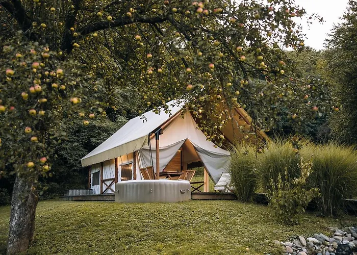 Luxury Vineyard Chateau Ramsak